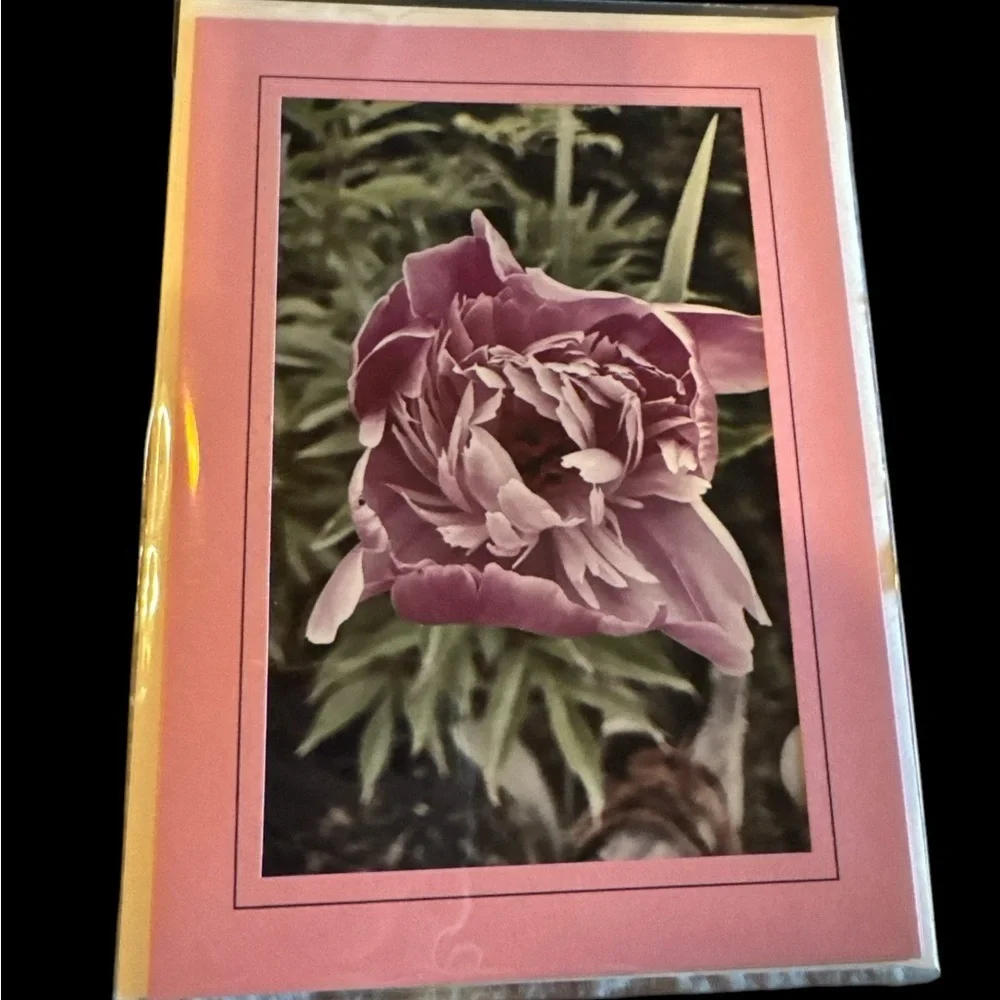 Colorful Floral Greeting Cards Set- Tulips /Original Photography Set of 5